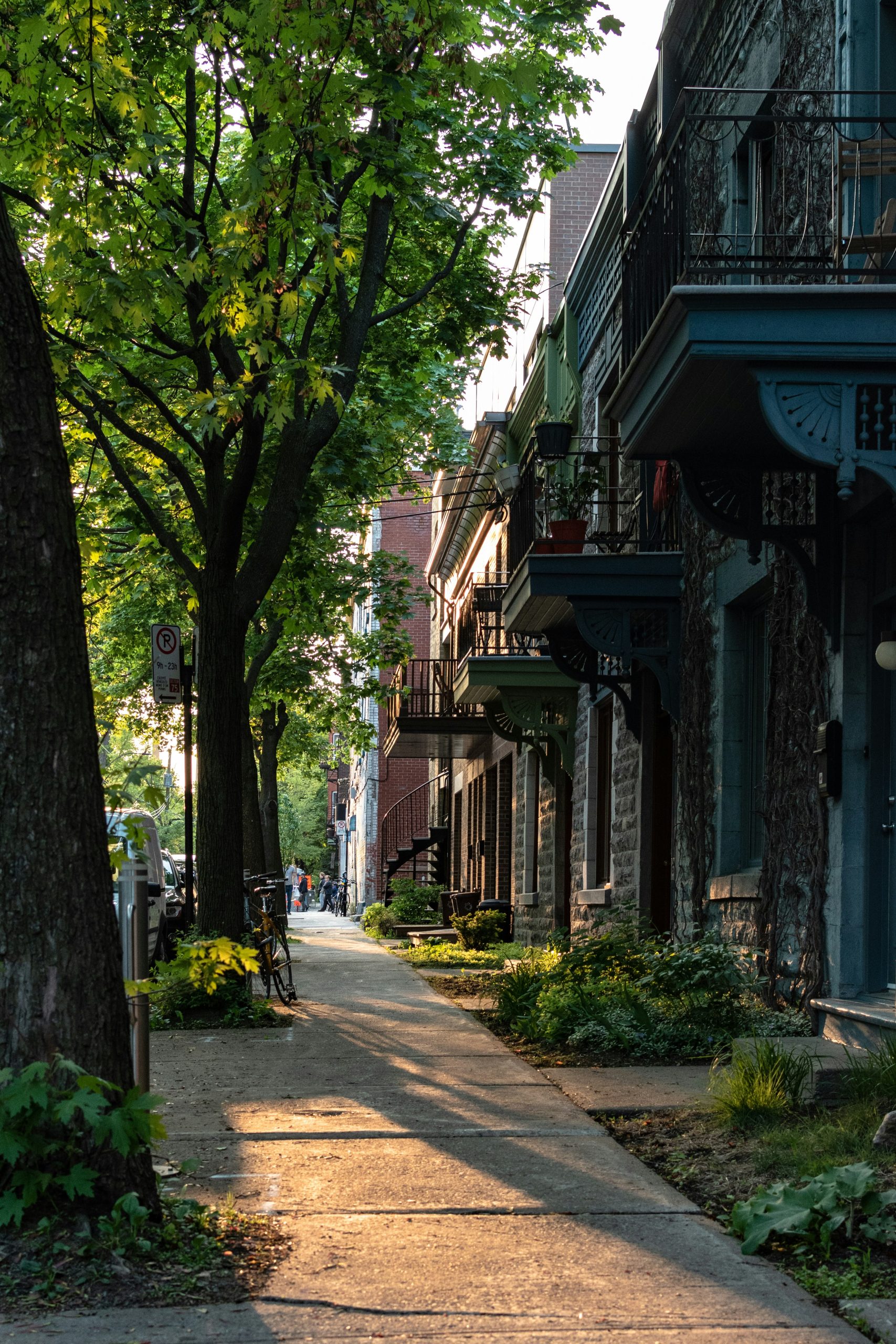 A quiet residential street with trees, a row of houses, balconies, and parked bicycles lit by late afternoon sunlight.